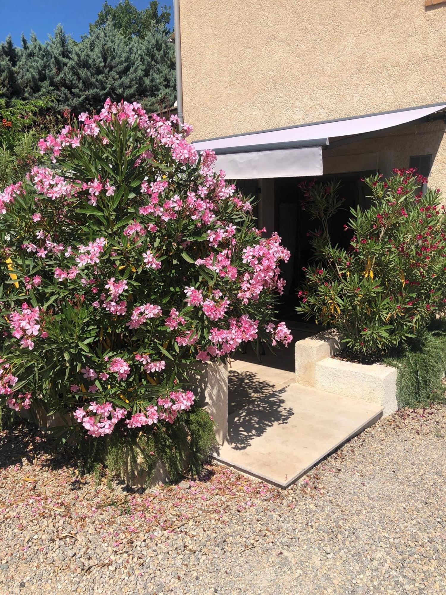 Le Cocon De Provence Apartment Fayence Luaran gambar